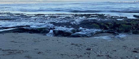 Beach nearby, white sand