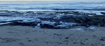 The Boardwalk Beach House