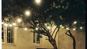 An outdoor seating area with tables and chairs arranged around a central tree. - The Boardwalk Beach House (Santa Cruz)