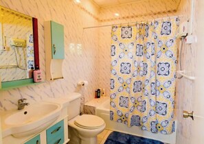 Combined shower/tub, hair dryer, towels, soap - Cottage in the country with a mountain view (Mountainside)