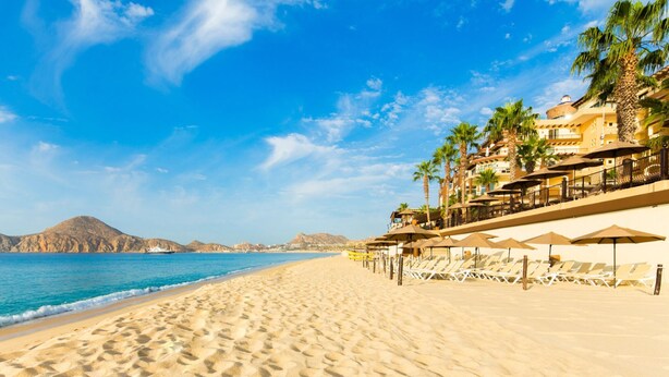 Une plage bordée d’une rangée de chaises longues et de parasols, de palmiers, et d’un bâtiment doté d’un balcon donnant sur l’océan.