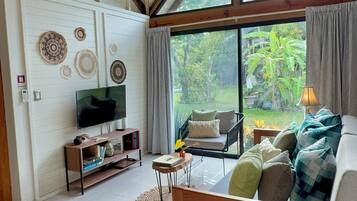 Smart TV, books, stereo