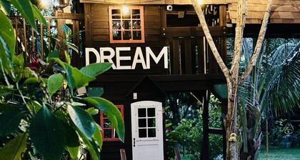 Cottage / House with Pool in the mayan jungle & tree house- 2 miles from beach.