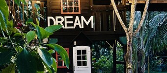 Cottage / House with Pool in the mayan jungle & tree house- 2 miles from beach.