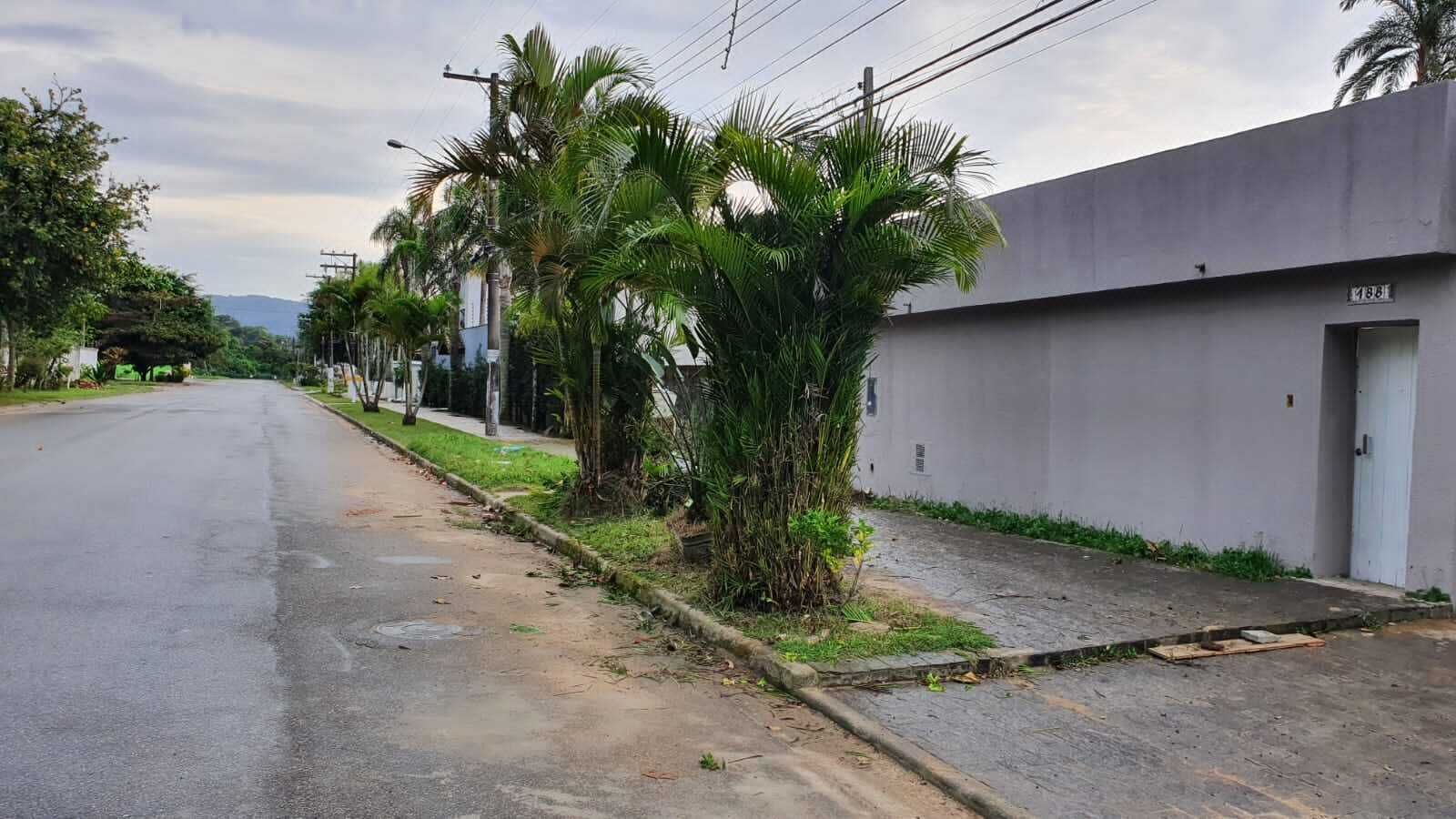 A quiet street with a sidewalk lined by palm trees and a building with a door and a window.