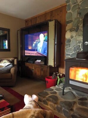 Smart TV, fireplace, books