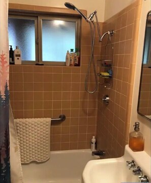 Shower, hair dryer, towels, toilet paper