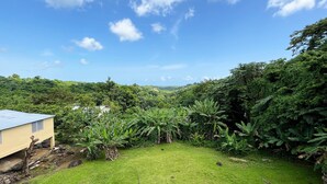 A lush green landscape with a building featuring a sloped roof and a small structure with a blue roof. - A Slice of the Rainforest! Near El Yunque and Beaches, Rio Grande Puerto Rico (Rio Grande)