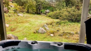 Un jacuzzi con vista despejada a una zona verde y árboles al fondo.
