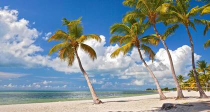Tropical Dreaming by Avantstay 4 Blks to Beach! Private Pool!