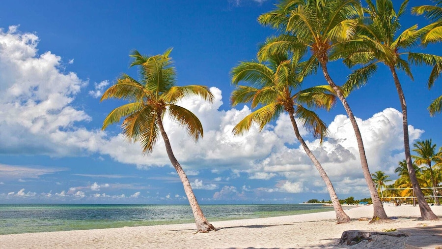 Tropical Dreaming by Avantstay 4 Blks to Beach! Private Pool!