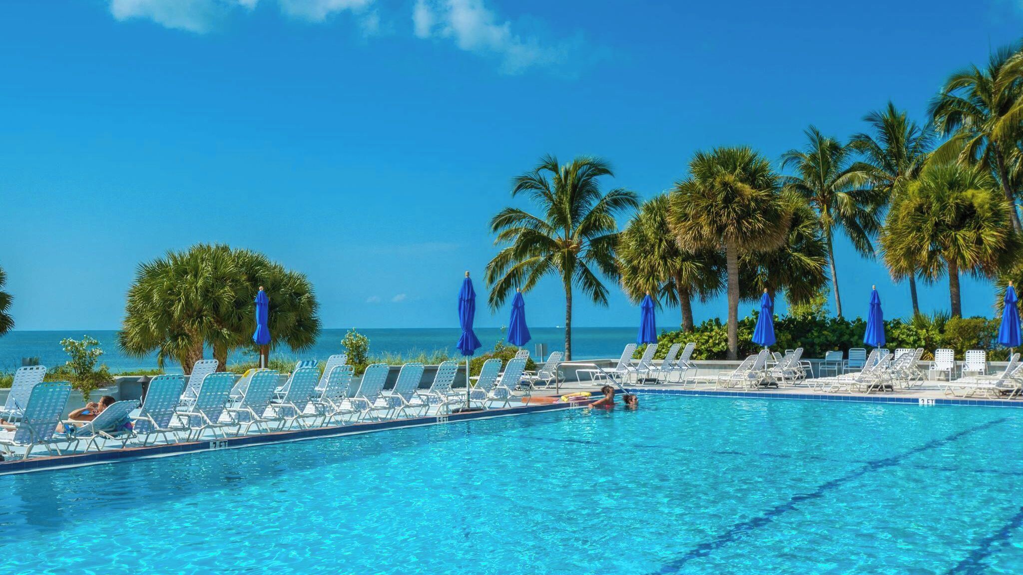 A pool area with lounge chairs and umbrellas, palm trees, and a clear view of the ocean.