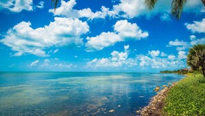 A clear blue sky with scattered clouds, a calm sea, and a grassy shoreline with palm trees. - Atlantic Paradise by Avantstay Great Location w/ Balcony, Outdoor Dining & Shared Pool & Hot Tub! (Key West)