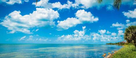 Cielo azul despejado con algunas nubes, mar tranquilo y costa cubierta de pasto y palmeras.