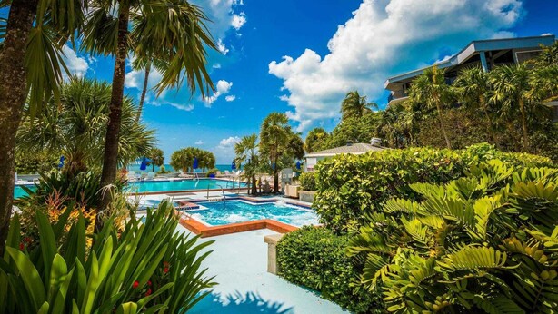 A swimming pool surrounded by lush greenery and palm trees, with a clear blue sky above. - Atlantic Paradise by Avantstay Great Location w/ Balcony, Outdoor Dining & Shared Pool & Hot Tub! (Key West)