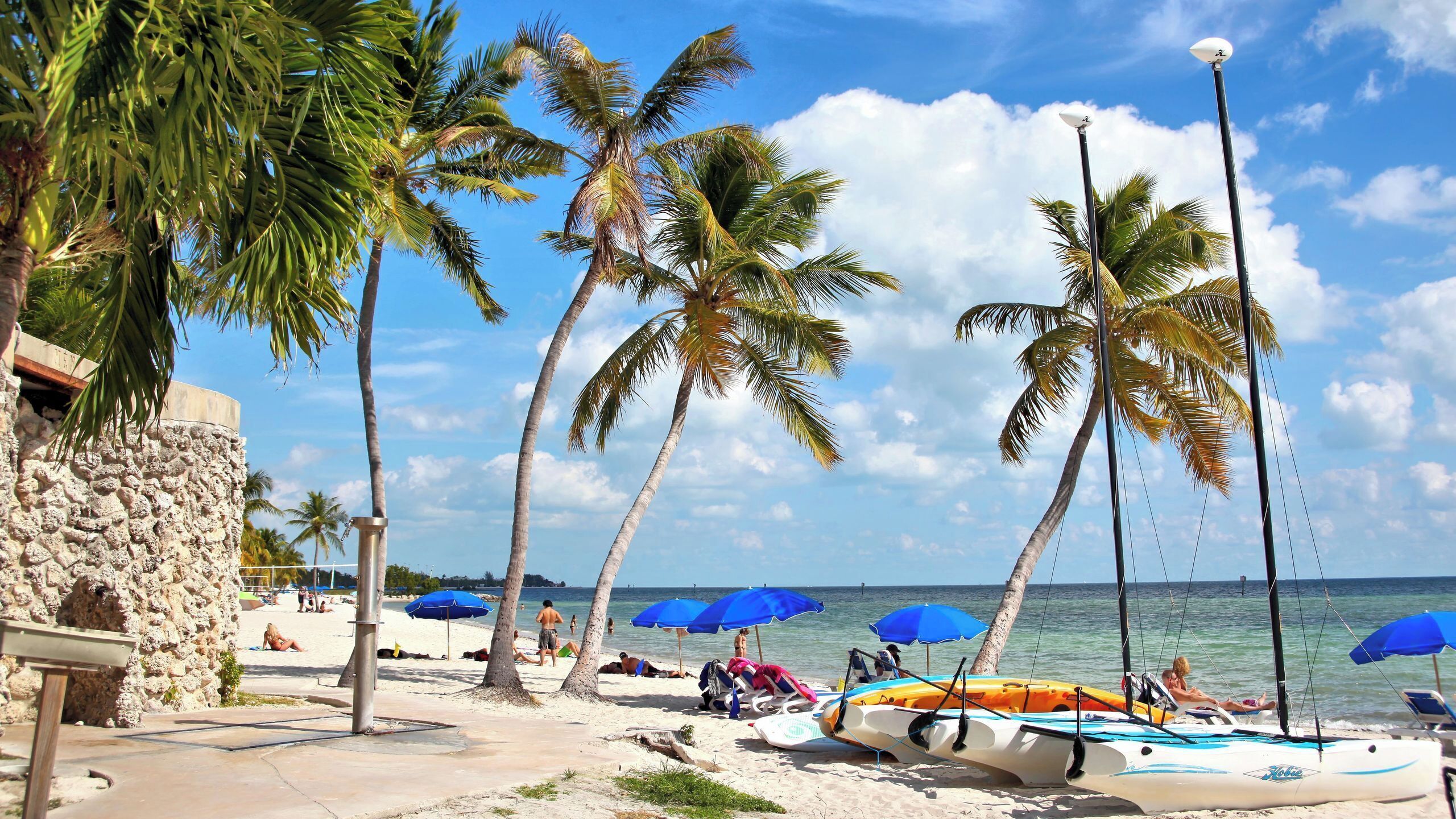 A beach with palm trees, umbrellas, and boats.