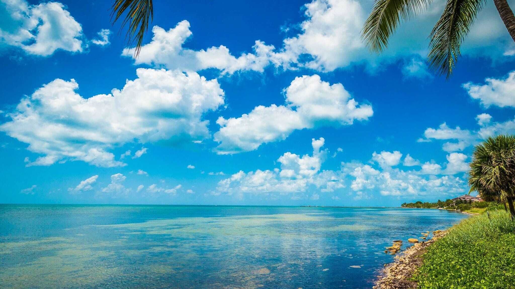 單棟房屋 (2 Bedrooms) | 內部