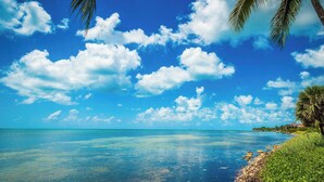 Un ciel d’un bleu limpide, une mer calme et une côte verdoyante bordée de palmiers.