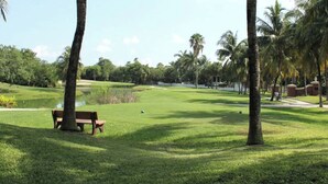 Um campo de golfe com um banco, palmeiras e um lago.
