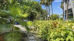 A tropical garden with palm trees, a pathway, and a building with a white fence.