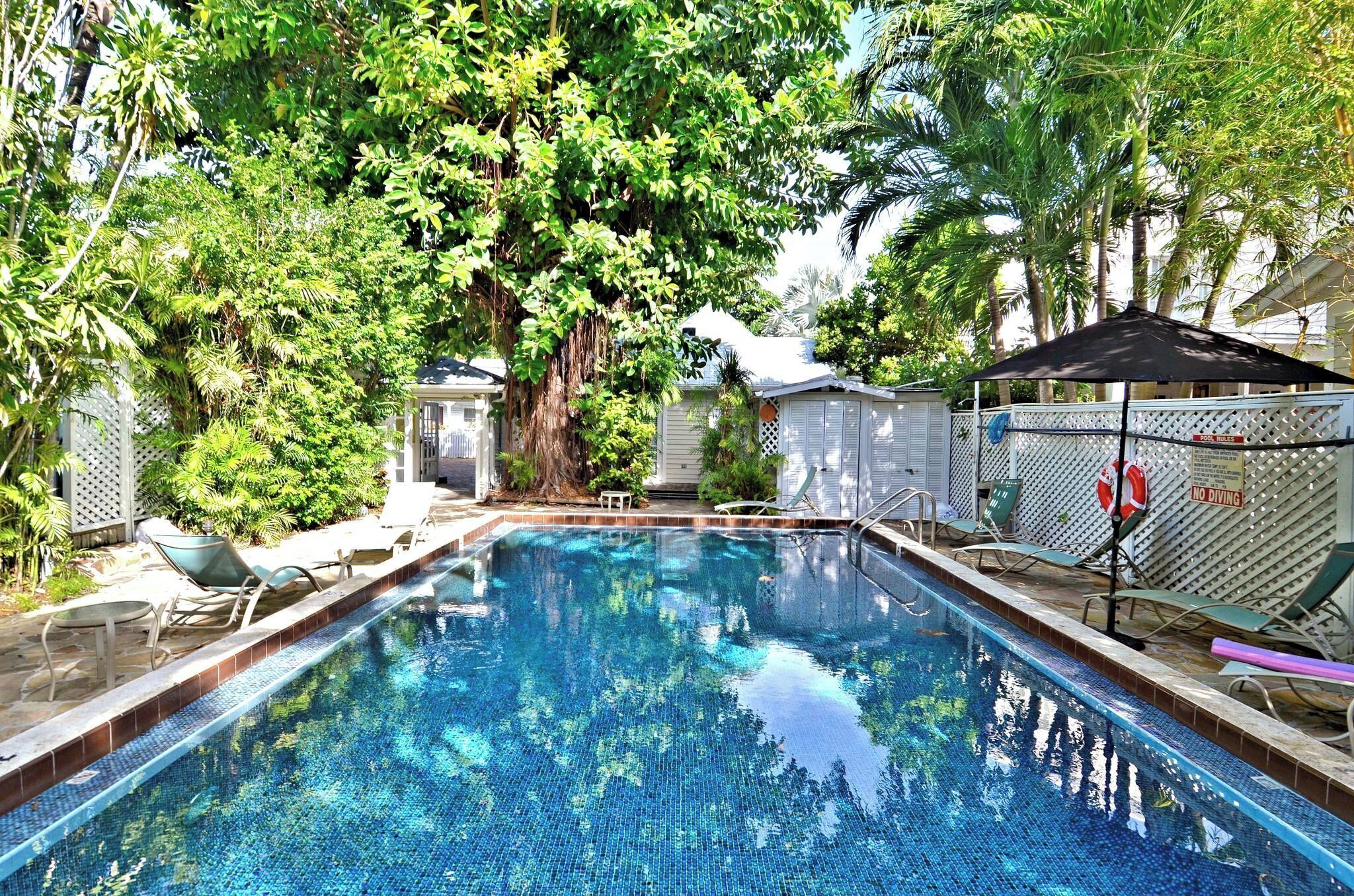Ein Swimmingpool mit einer gefliesten Kante, umgeben von üppiger Vegetation und einem eingezäunten Bereich mit Liegestühlen.