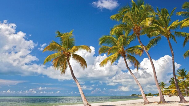 A beach with palm trees and a clear sky. - Breezy Bungalow by Avantstay Close 2 Zachary Taylor State Park w/ Shared Pool Month-long Stays (Key West)