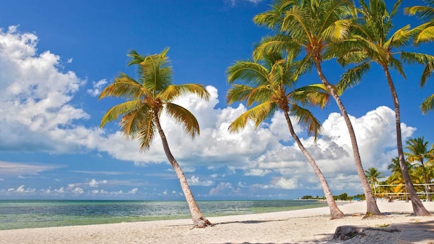 A beach with palm trees and a clear blue sky. - Amelia Home by Avantstay In Historic Old Town w/ Pool (Key West)
