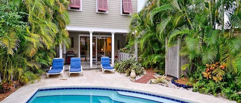 A house with a swimming pool, two blue lounge chairs, and lush tropical plants.