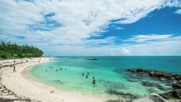 A beach with clear turquoise water, a sandy shore, and a forested area.