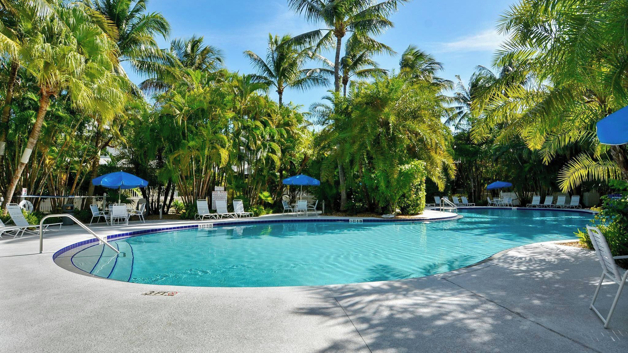 Ein Swimmingpool, umgeben von Palmen und Liegestühlen.