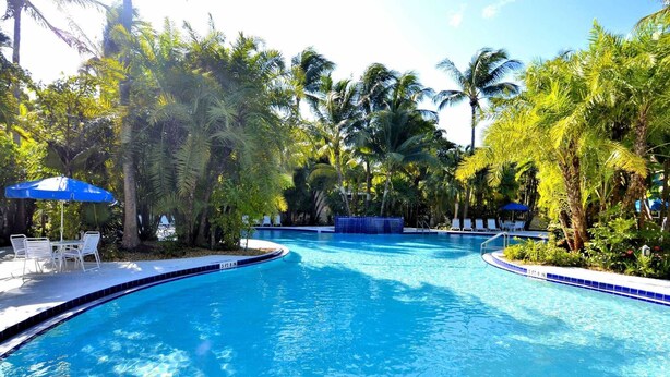 A clear blue pool surrounded by palm trees and blue umbrellas, with a poolside area featuring white chairs.
