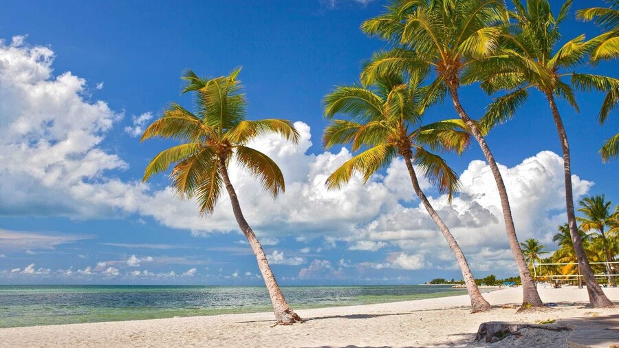 Lavender Jungle by Avantstay Great Location w/ Patio & Shared Pool! Week Long Stays Only