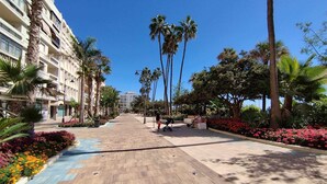 A paved walkway lined with palm trees and flowering plants, leading to a building with balconies. - 1 bedroom , city centre, front line beachsea views (Estepona)