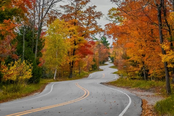Una carretera serpenteante bordeada de árboles con colores otoñales.
