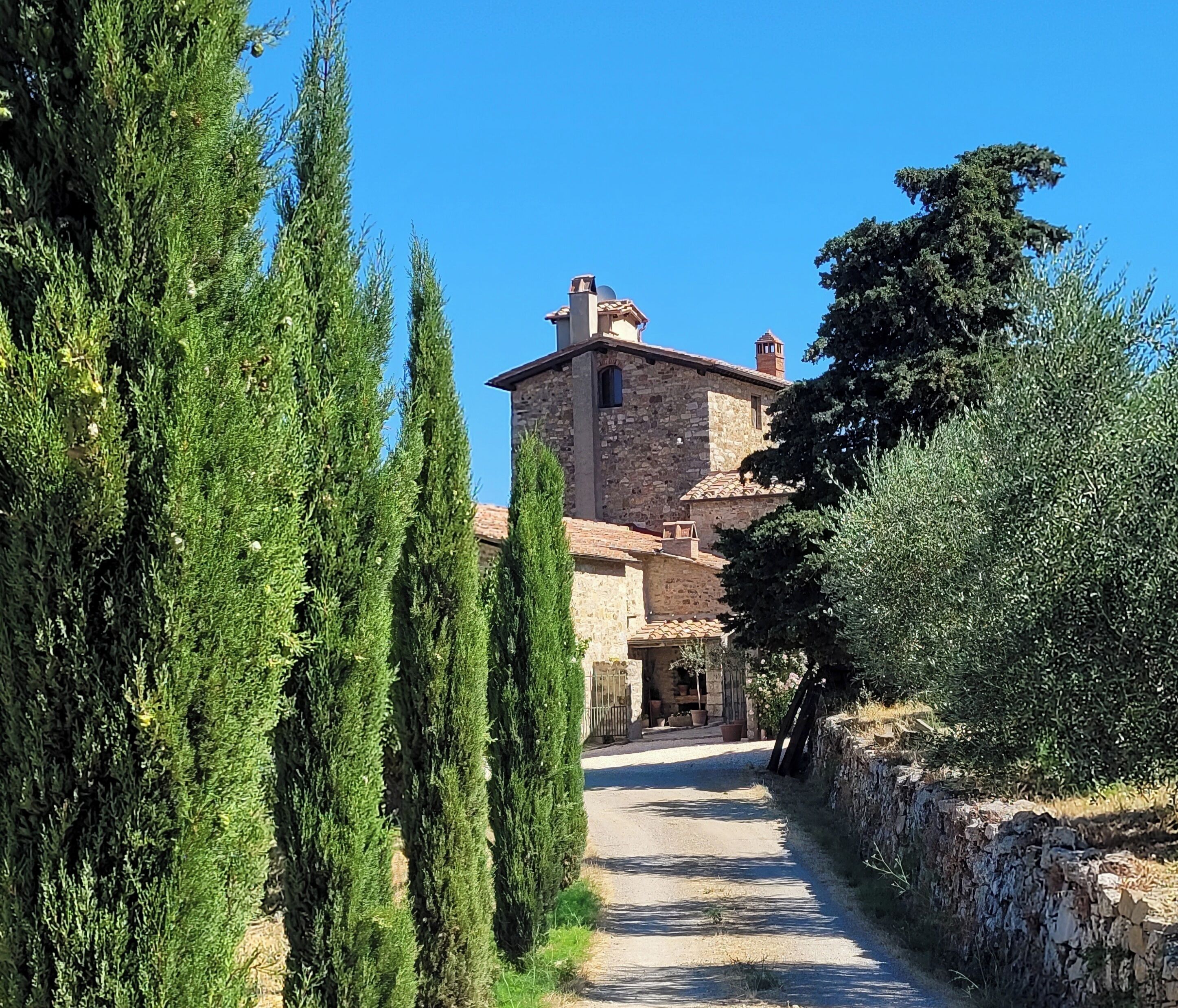 A narrow stone pathway leading to a rustic stone building with a tiled roof, surrounded by tall cypress trees and olive groves.