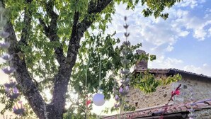A stone building with a rustic roof, surrounded by a garden with various flowering plants. - Exclusive Tuscan Winery Escape: Charming Villa with Pool & Breathtaking Views. (Radda in Chianti)