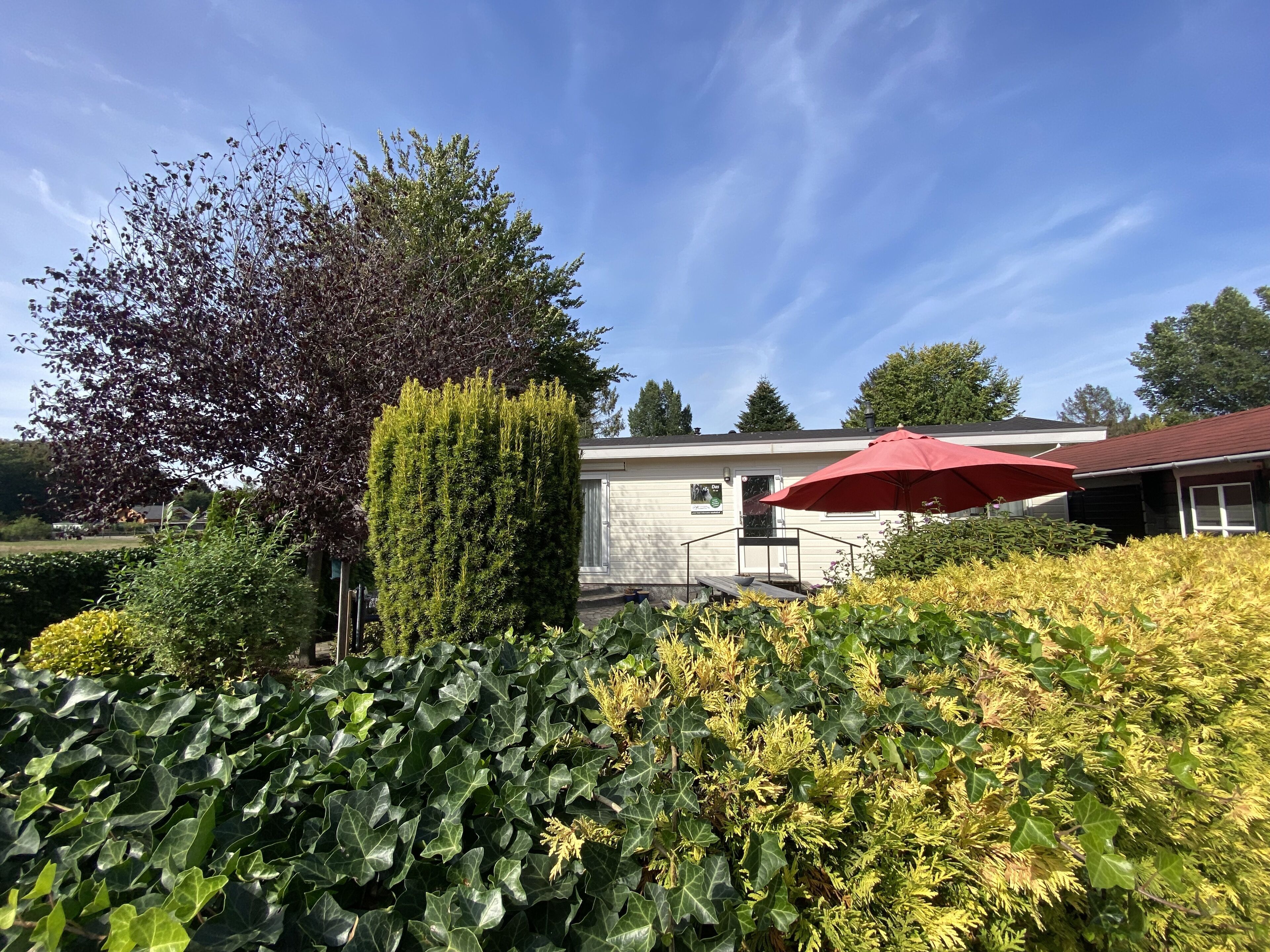 A garden with a variety of plants and a red umbrella.