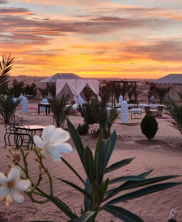 Beach - Deluxe triple room for three at Saharian Luxury Camp (Tisserdmine)