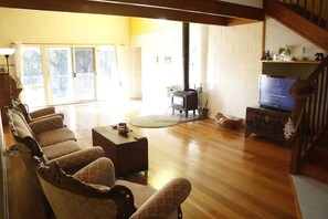 TV, fireplace, books, stereo