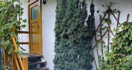 Vacation apartment "Am Bankzeitweg"