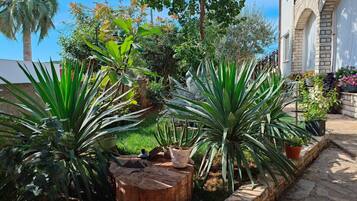 Jardín