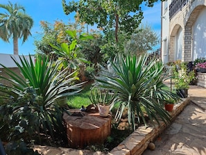 Jardim