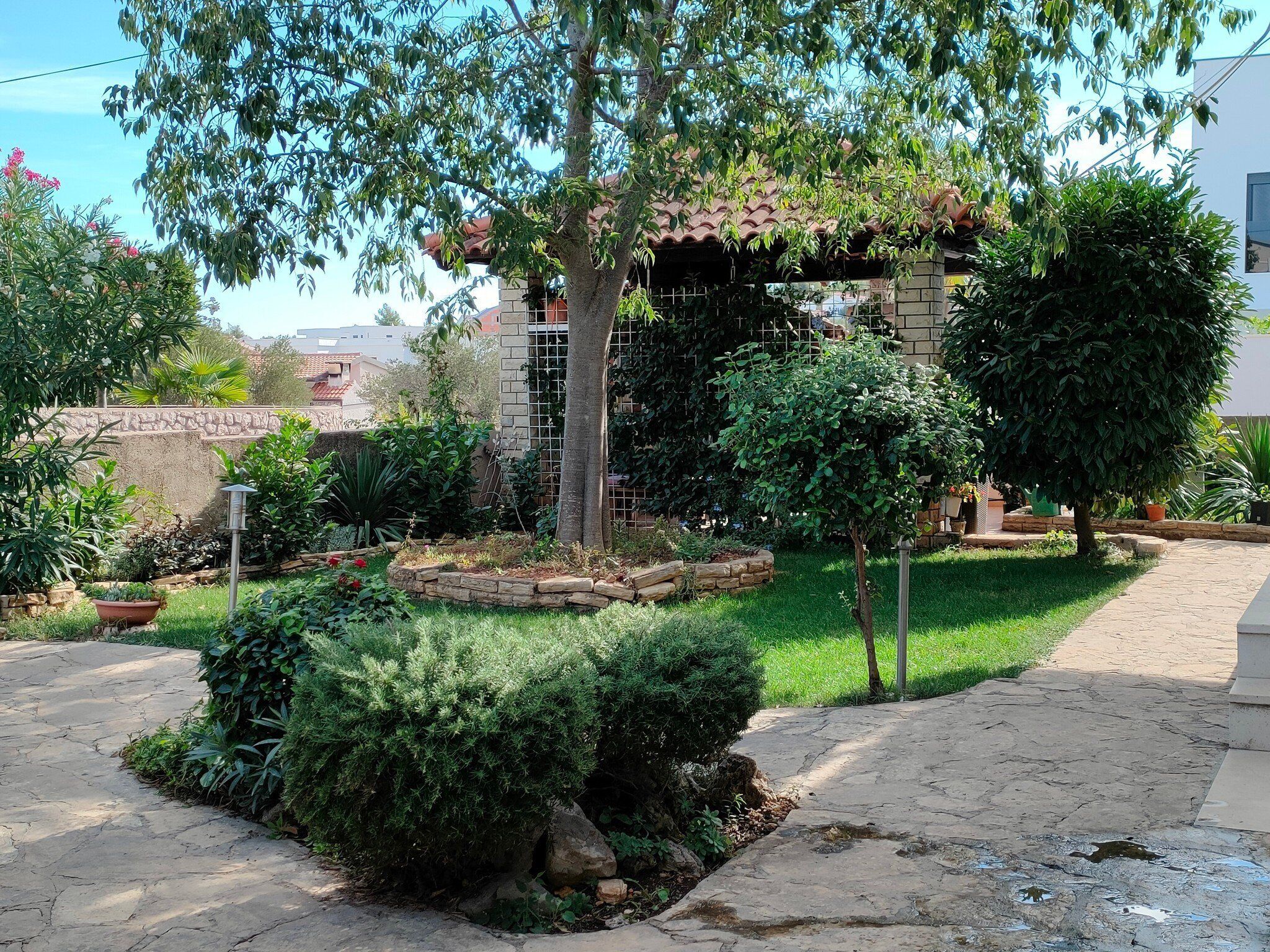 A garden with a pergola, various plants, and a stone pathway.