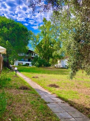A pathway leading to a house surrounded by lush greenery and trees.