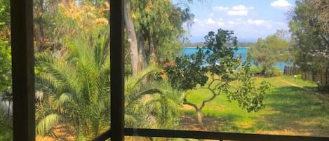 A room with a view of a tropical landscape, including trees and a body of water.