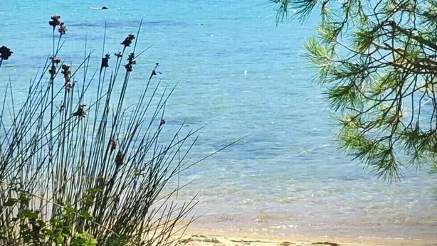 A beach with clear water, a sandy shore, and a forested hill in the background. - Elesta 2 Bedroom House (Vourvourou)