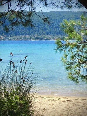 A beach with clear water, a sandy shore, and a forested hill in the background.