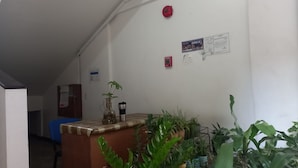 A hallway with a fire alarm, a certificate of occupancy, and various potted plants. - Tesoro Apartments (Manila)