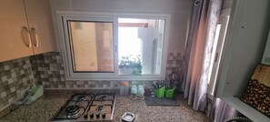 雪櫃、焗爐、電熱水壺、廚房用具/餐具/器皿