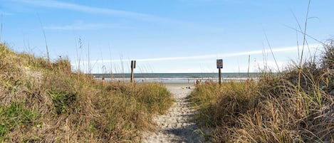 On the beach